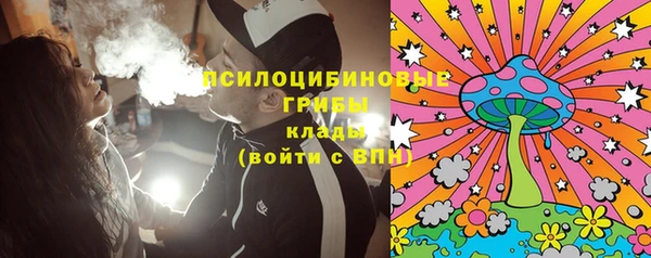 мдпв Абаза