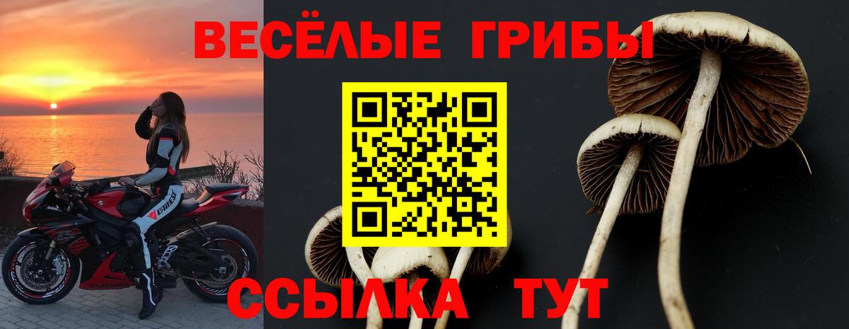 Тара  Галлюциногенные грибы мицелий  Вход с VPN 